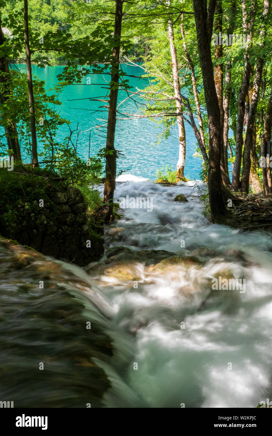 Cascades de l'eau se précipiter en bas de la pente de montagne dans l'eau cristalline du lac de couleur et d'azur à l'Milanovac Le parc national des Lacs de Plitvice, Croatie Banque D'Images