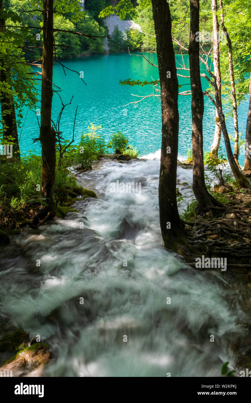 Cascades de l'eau se précipiter en bas de la pente de montagne dans l'eau cristalline du lac de couleur et d'azur à l'Milanovac Le parc national des Lacs de Plitvice, Croatie Banque D'Images