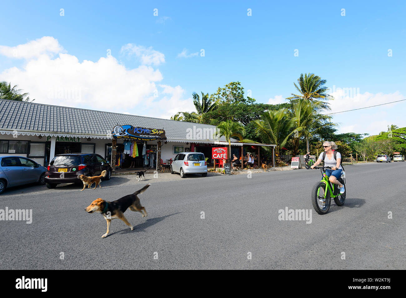 Vélo touristique avec les chiens errants s'exécutant sur la route. Ils sont un problème à Rarotonga (Îles Cook), Polynésie Française Banque D'Images