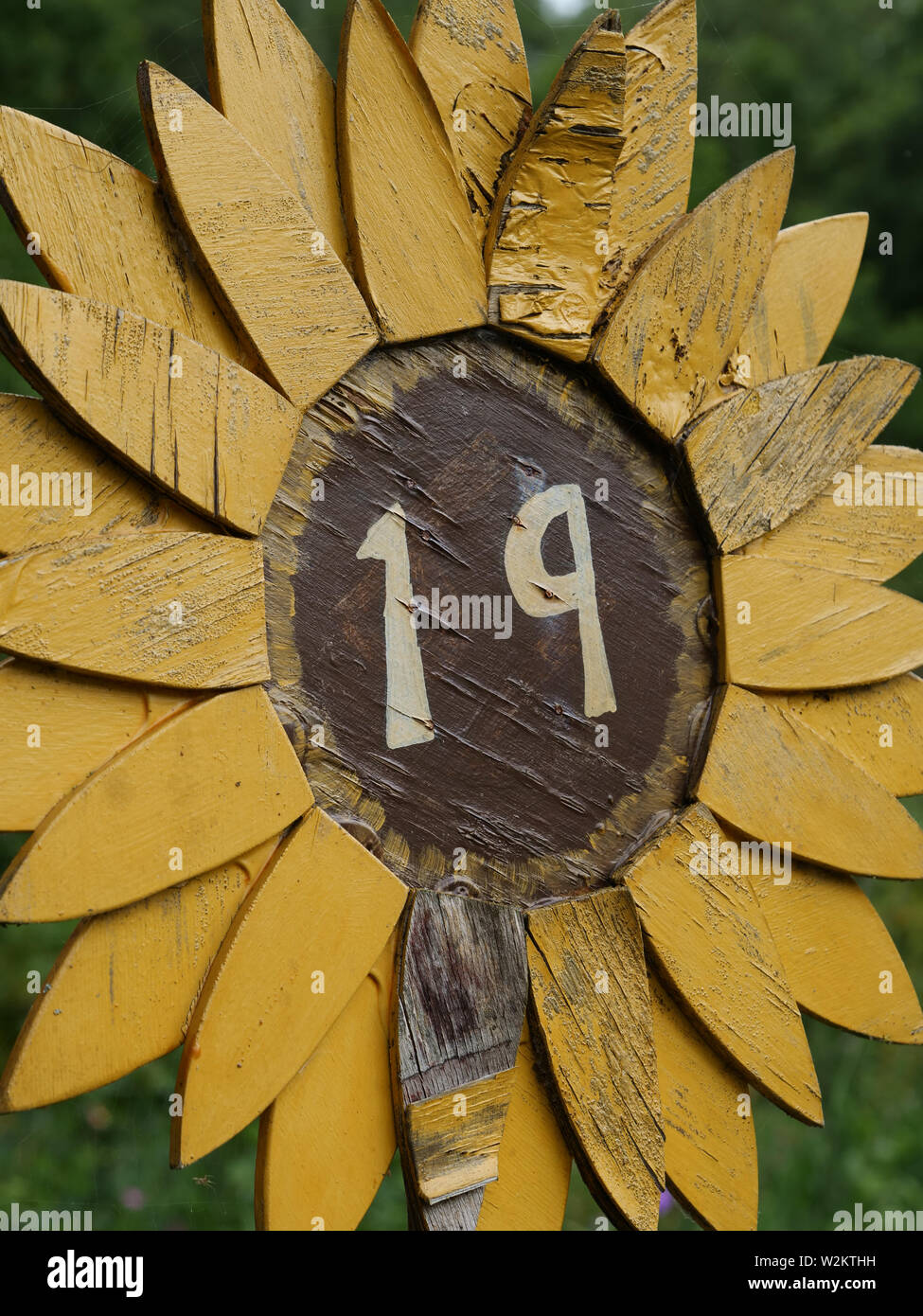 Tournesol en bois avec le nombre 19 trouvés dans le jardin. Banque D'Images