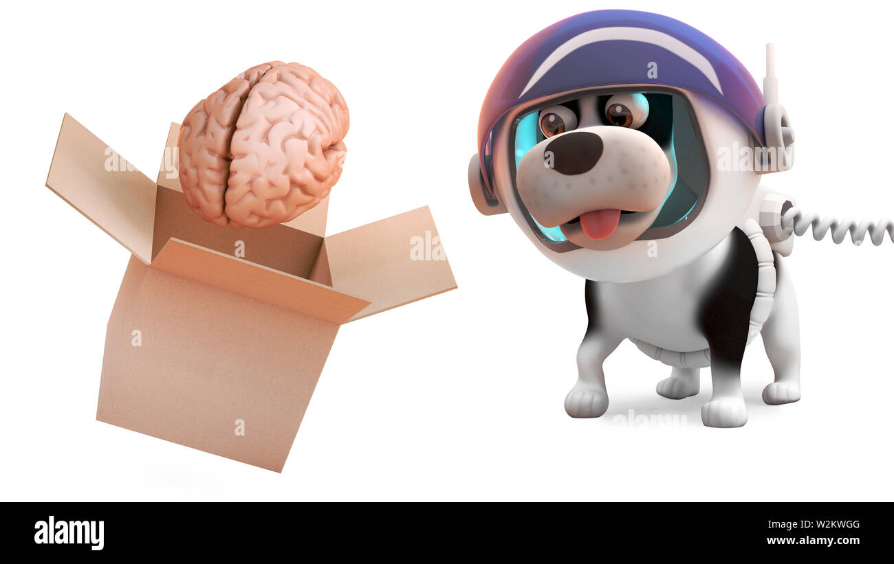 Chiot mignon chien dans montres spacesuit cerveau de sortir de la boîte, l'illustration 3D render Banque D'Images