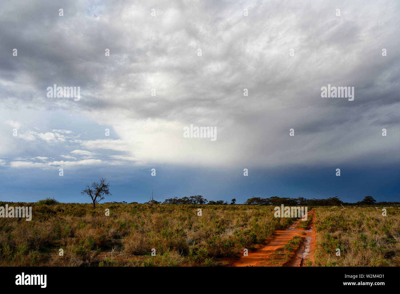 Piste sablonneuse avec des piscines d'eau après la douche de pluie. Le nord-ouest de Victoria, Australie. Banque D'Images