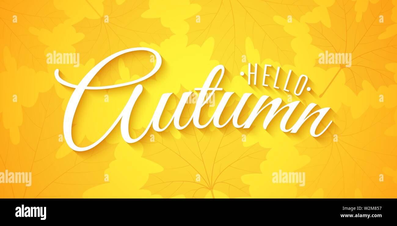 Bonjour Automne brochure. Carte de vœux. Belles Lettres. Battant feuilles d'érable. Design saisonnier.Vector illustration. EPS 10 Illustration de Vecteur