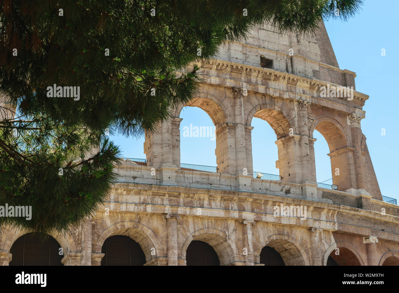 Façade du Colisée à Rome en arrière-plan de pin vert et bleu ciel clair d'été Banque D'Images