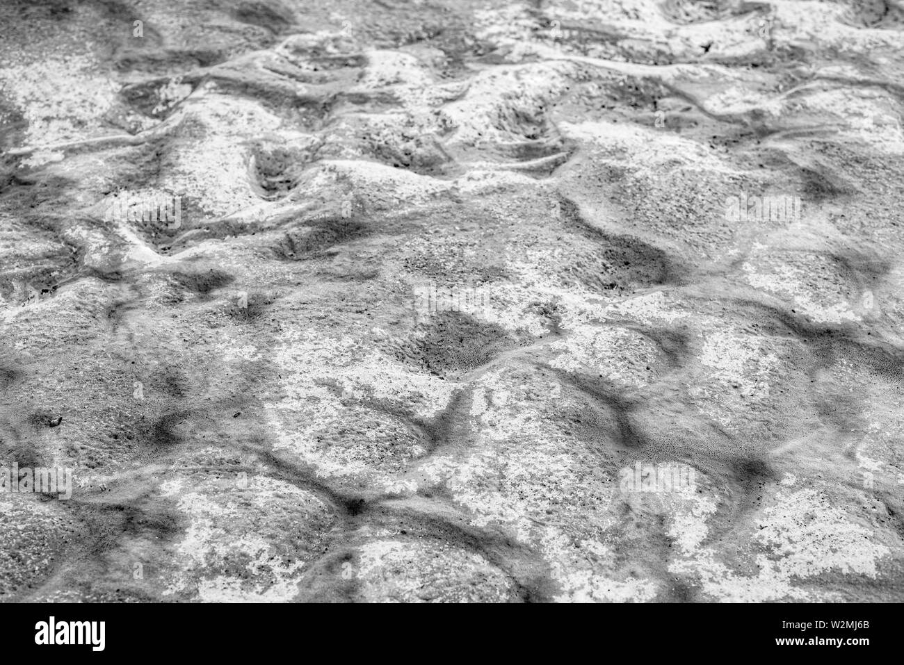 Les cristaux de sel naturel dans le terrain chaud sans vie sur le lac salé. Baskunchak La Russie. Région d'Astrakhan. Banque D'Images