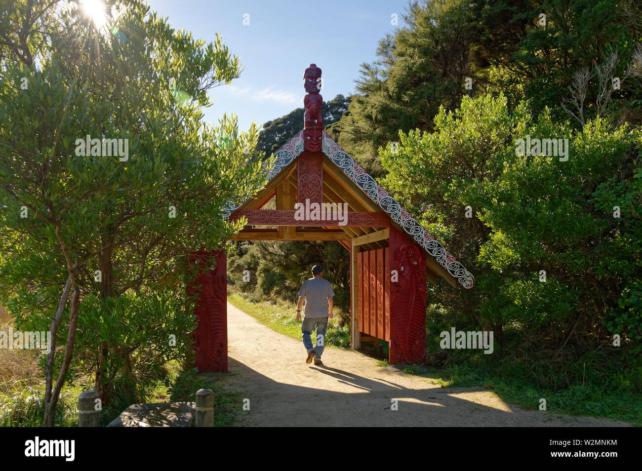 Abel Tasman National Park de la Golden Bay side, Wainui Bay, Nouvelle-Zélande Banque D'Images