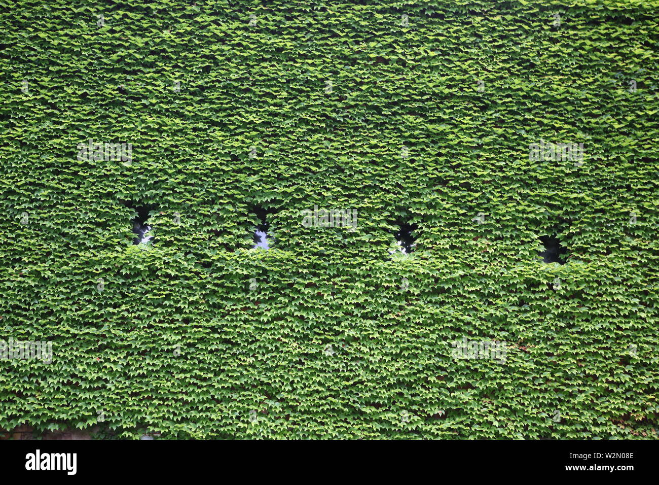 Échantillon de l'architecture moderne et contemporaine à l'extérieur du fort l'ossature. Pourrait être n'importe où dans le monde occidental, mais cela a été pris à Auckland, Nouvelle-Zélande Banque D'Images