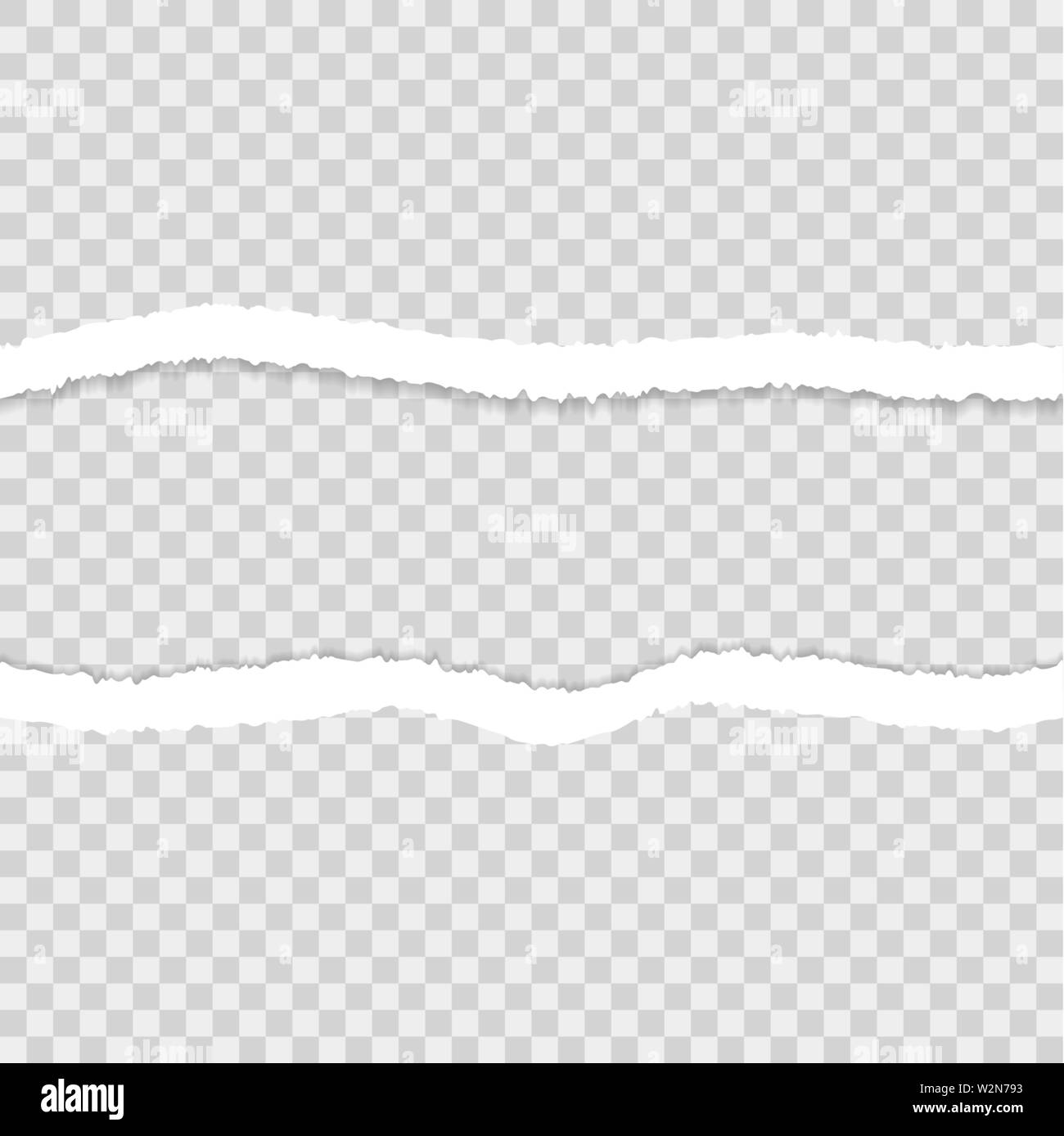 Dos déchiré. Ruban déchiré. Vector iluustration Illustration de Vecteur