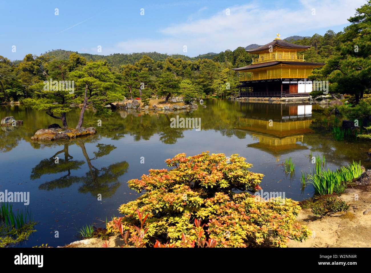 Le Kinkaku-ji, le temple du pavillon d'or, célèbre temple bouddhiste Zen est situé à Kyoto, Japon, Asie. Banque D'Images