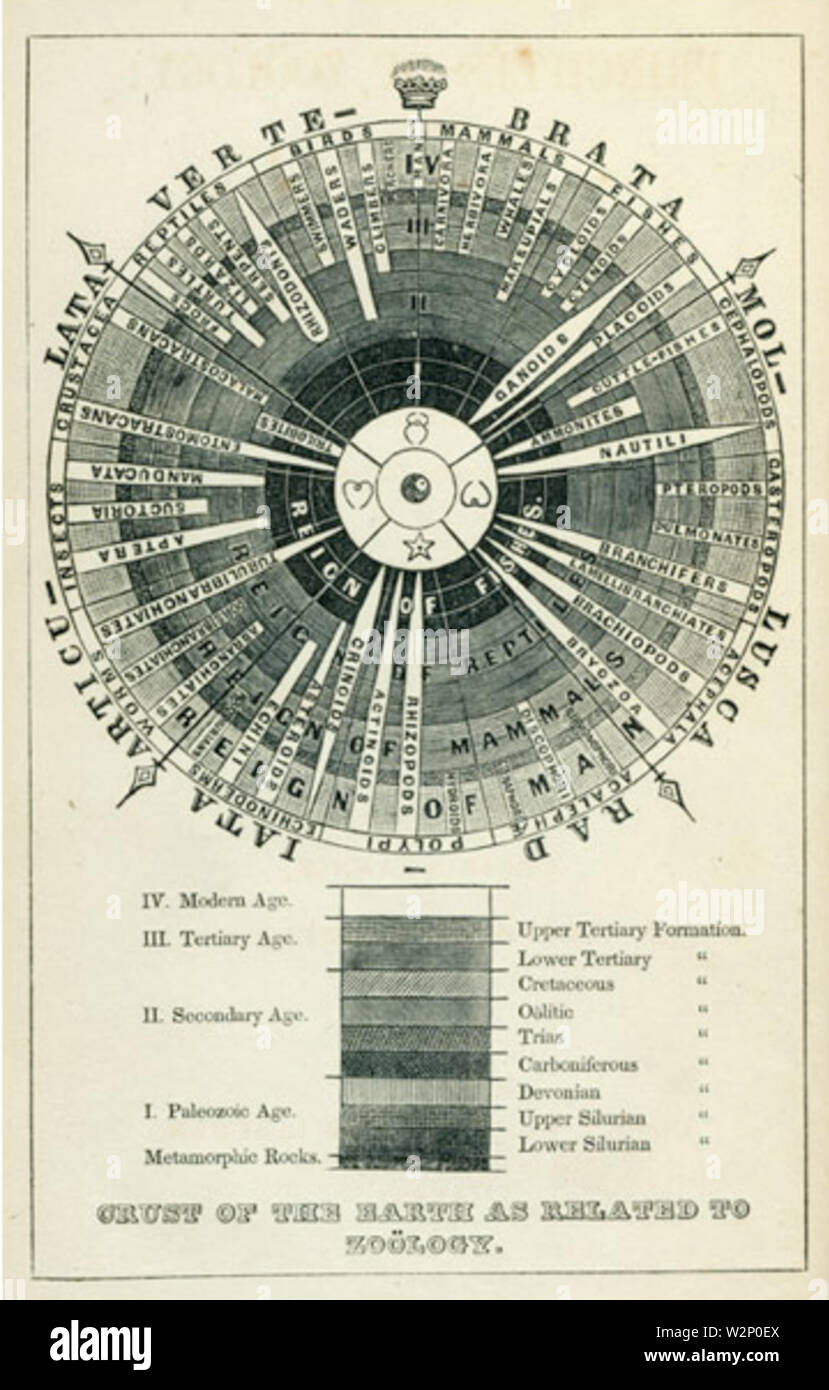 1848 ComparativePhysiology byLouisAgassiz AugustusGould Boston Banque D'Images
