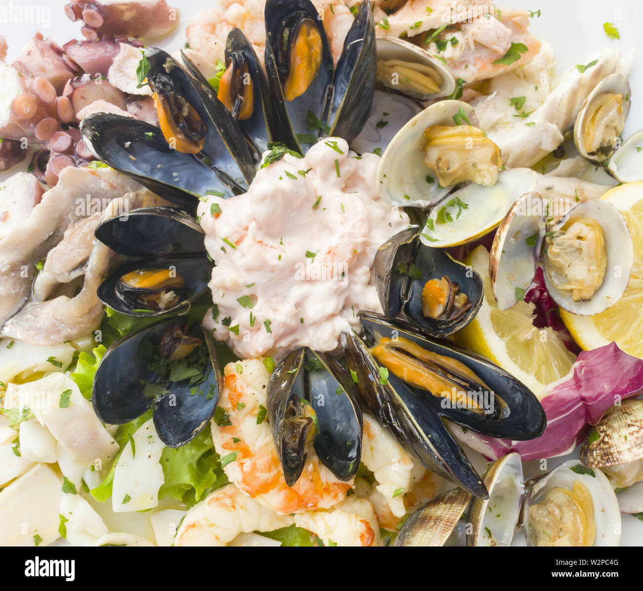 Coquilles de fruits de mer comme les moules un apéritif froid Banque D'Images