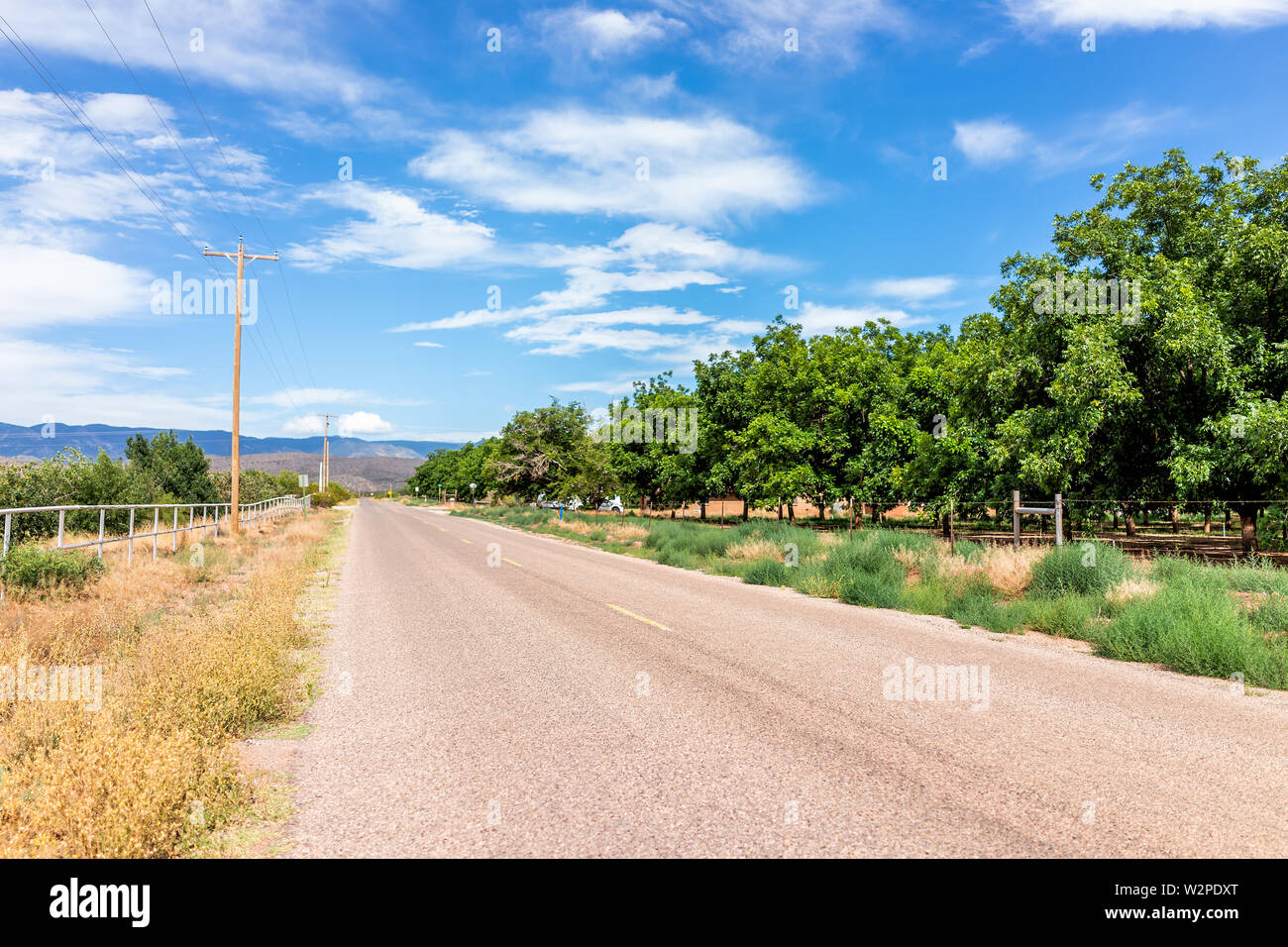 La Luz ville au Nouveau Mexique avec road chemin de la rue et les pistachiers farm lignes et personne ne au cours de journée ensoleillée Banque D'Images