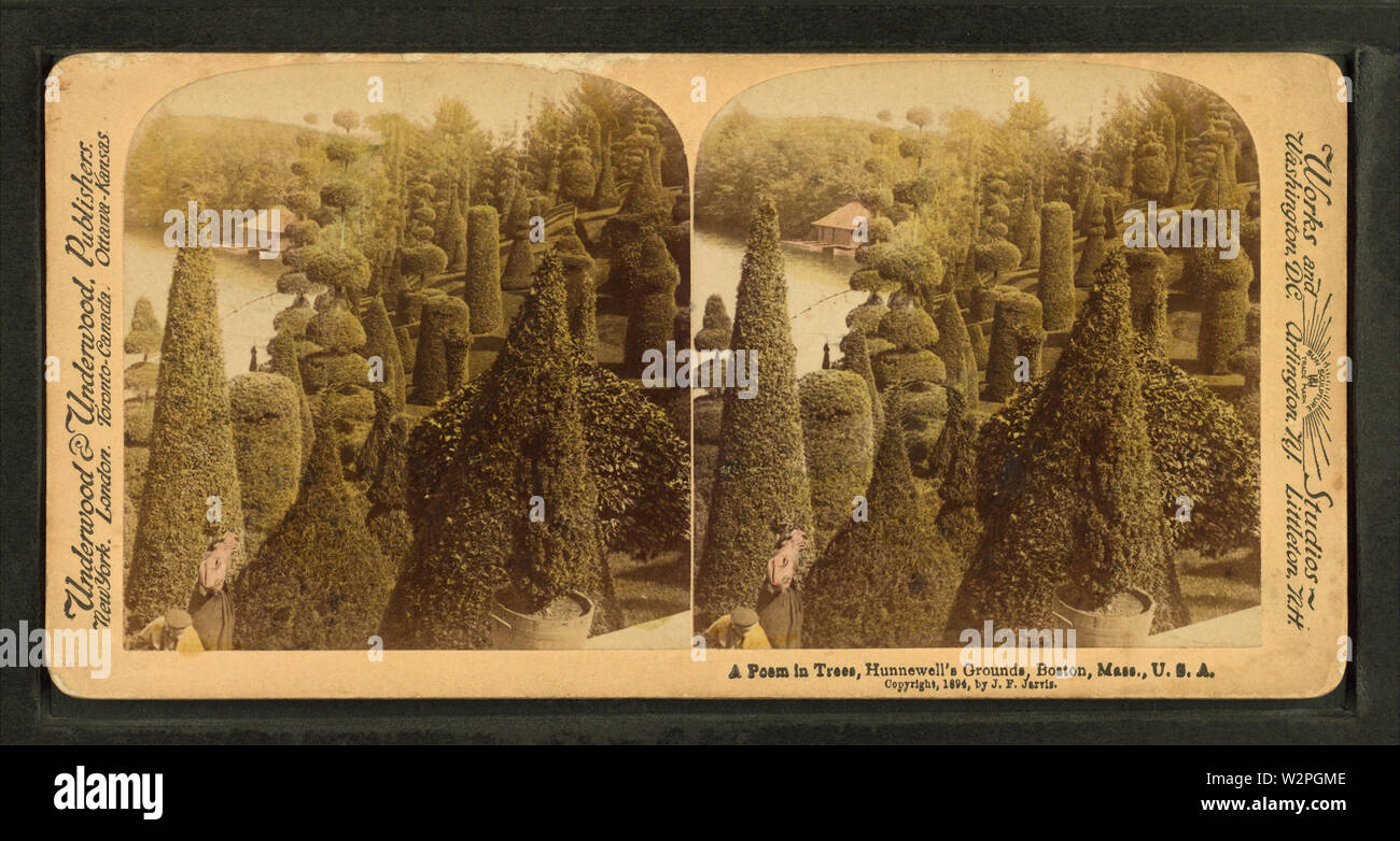 Un poème dans les arbres, le sol, l'Hunnewell Wellesley, Masse, USA, par Underwood & Underwood 2 Banque D'Images