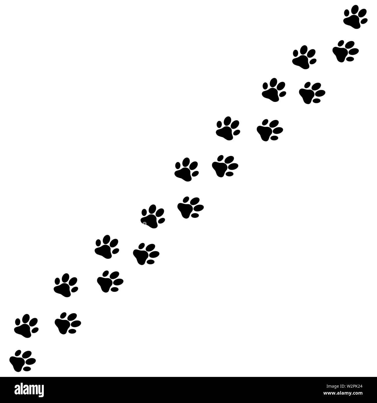 Paw print road dog sur blanc retour Illustration de Vecteur