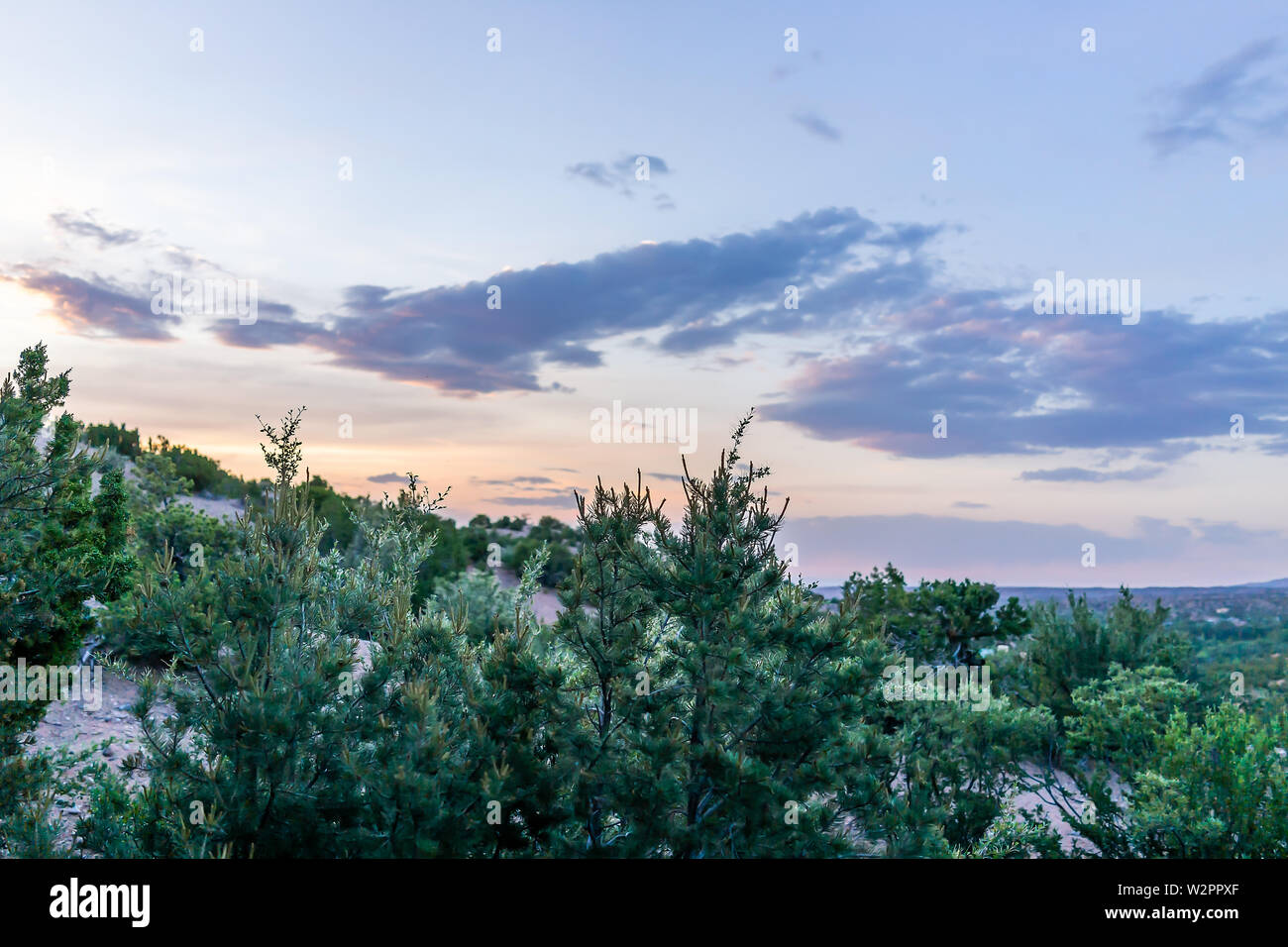 Coucher du soleil à Santa Fe, Nouveau Mexique, au voisinage de la communauté Tesuque avec plantes vertes et coloré crépuscule ciel nuages Banque D'Images