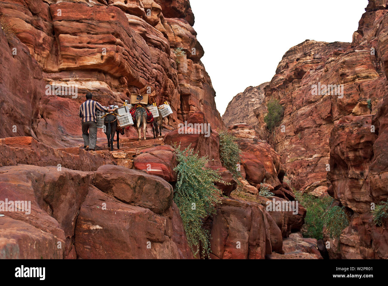 Passage étroit canyon de roches de Petra en Jordanie. UNESCO World Heritage Site. Chemin à travers Siq gorge à ville en pierre Petra. Banque D'Images