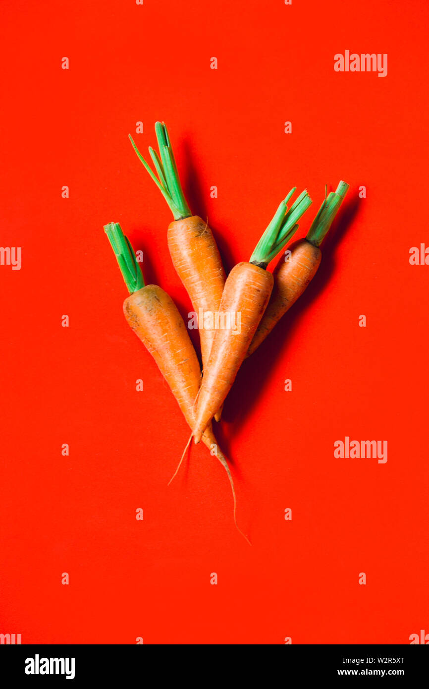 Quelques carottes fraîches sur fond rouge. Style rustique. L'agriculture. Banque D'Images