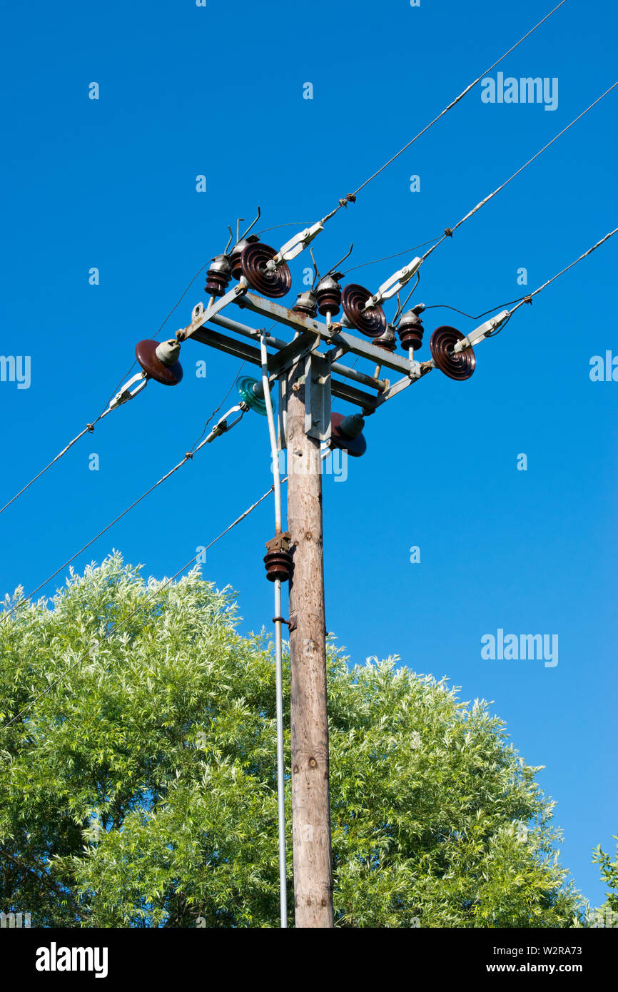 Fil électrique en bois ancien pôle avec arbre d'arrière-plan Banque D'Images