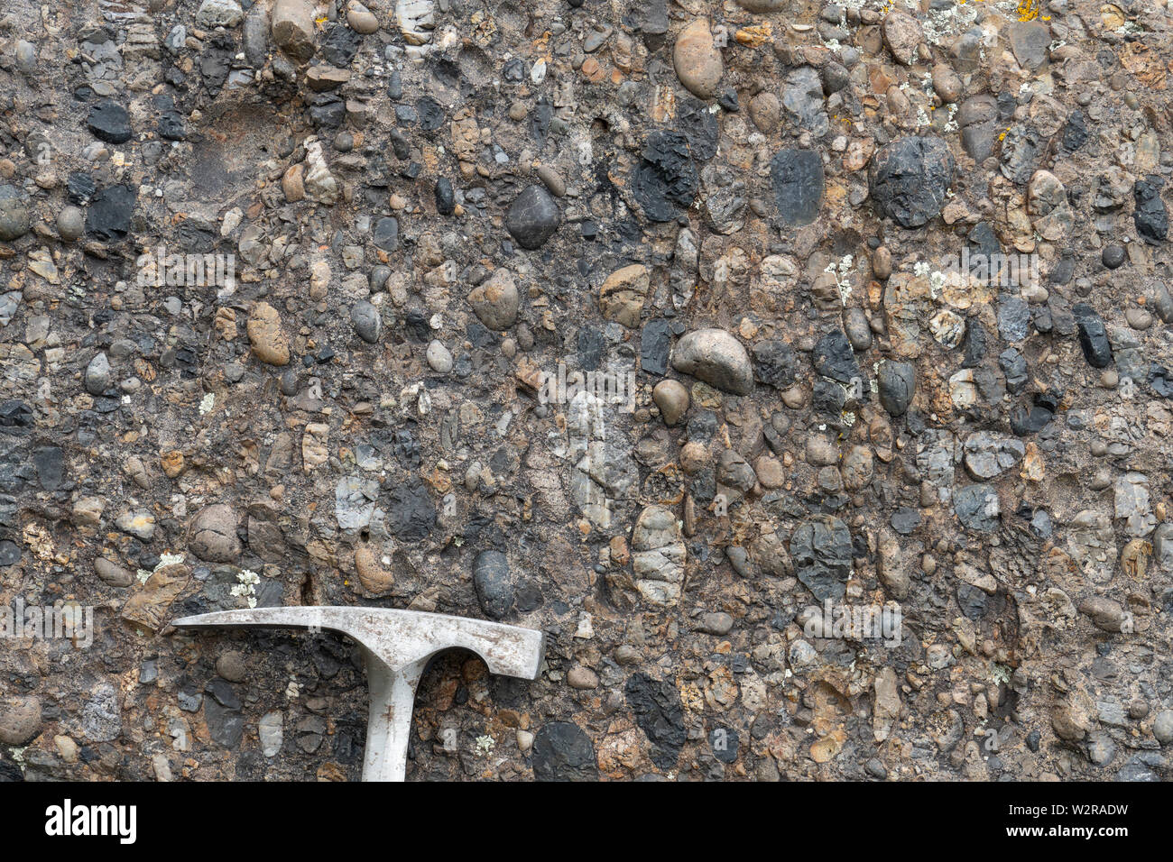 Claste crétacé-prise en charge de la formation de conglomérats Kootenai rock avec marteau pour échelle, Montana, USA Banque D'Images