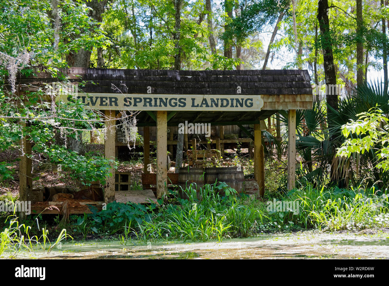 Structure bois abandonnés, Silver Springs Landing, bâtiment ancien, bois, Silver Springs State Park, Silver Springs, Floride, Floride, printemps, horizontal Banque D'Images