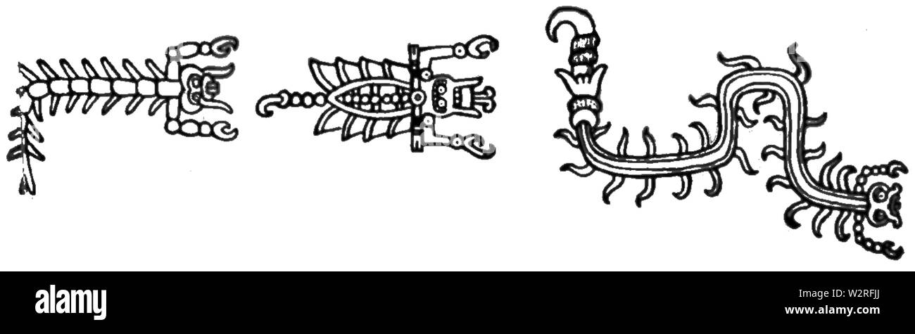 COM V1 D221 Scorpion et les Mille-pattes Banque D'Images
