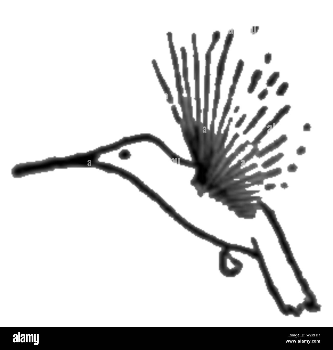 COM V1 D276 Hummingbird Banque D'Images