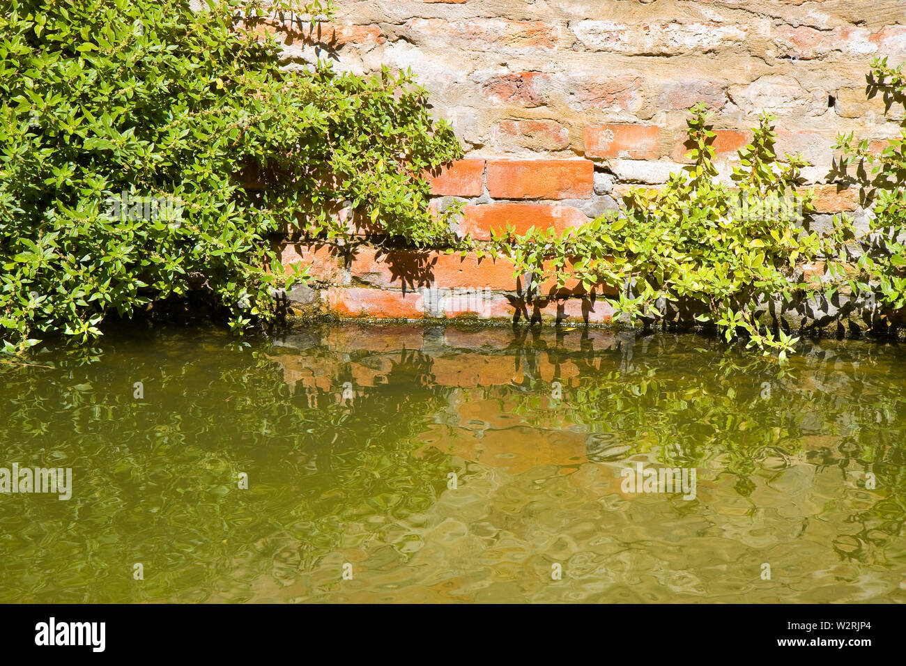 L'humidité ascensionnelle sur un mur de briques dans un canal plein d'eau Banque D'Images