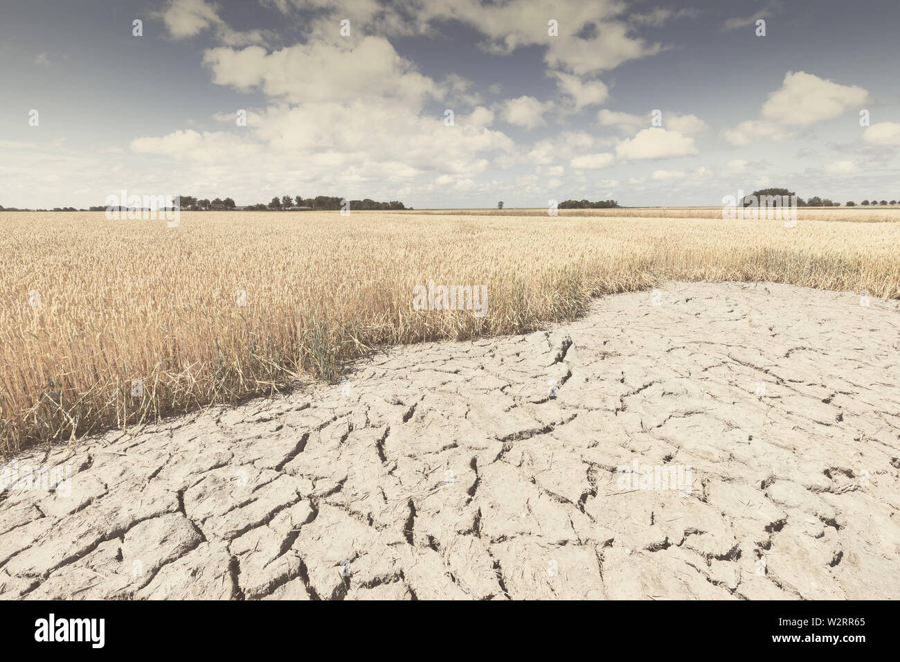 Sec et aride avec des terres de cultures n'en raison du changement climatique et le réchauffement climatique. La chaleur haute température op l'atmosphère d'une terre chaude. Banque D'Images