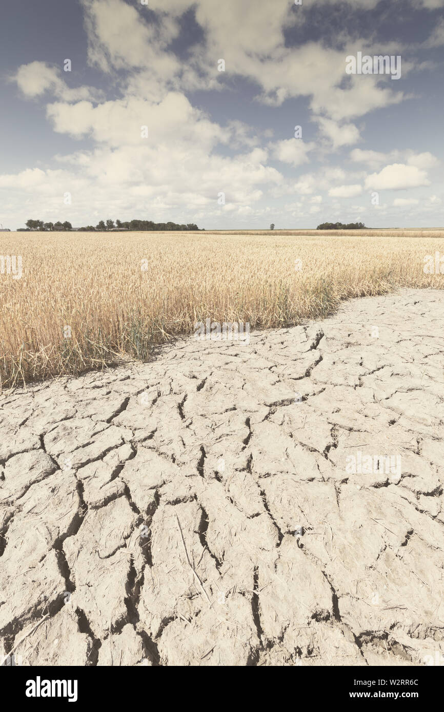 Sec et aride avec des terres de cultures n'en raison du changement climatique et le réchauffement climatique. La chaleur haute température op l'atmosphère d'une terre chaude. Banque D'Images