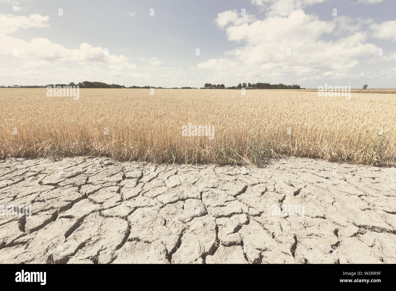 Sec et aride avec des terres de cultures n'en raison du changement climatique et le réchauffement climatique. La chaleur haute température op l'atmosphère d'une terre chaude. Banque D'Images