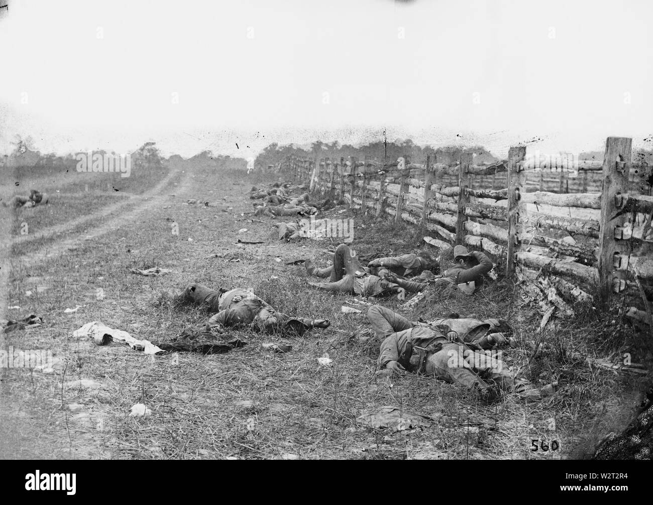 Confederate dead par une clôture sur le Hagerstown road Banque D'Images