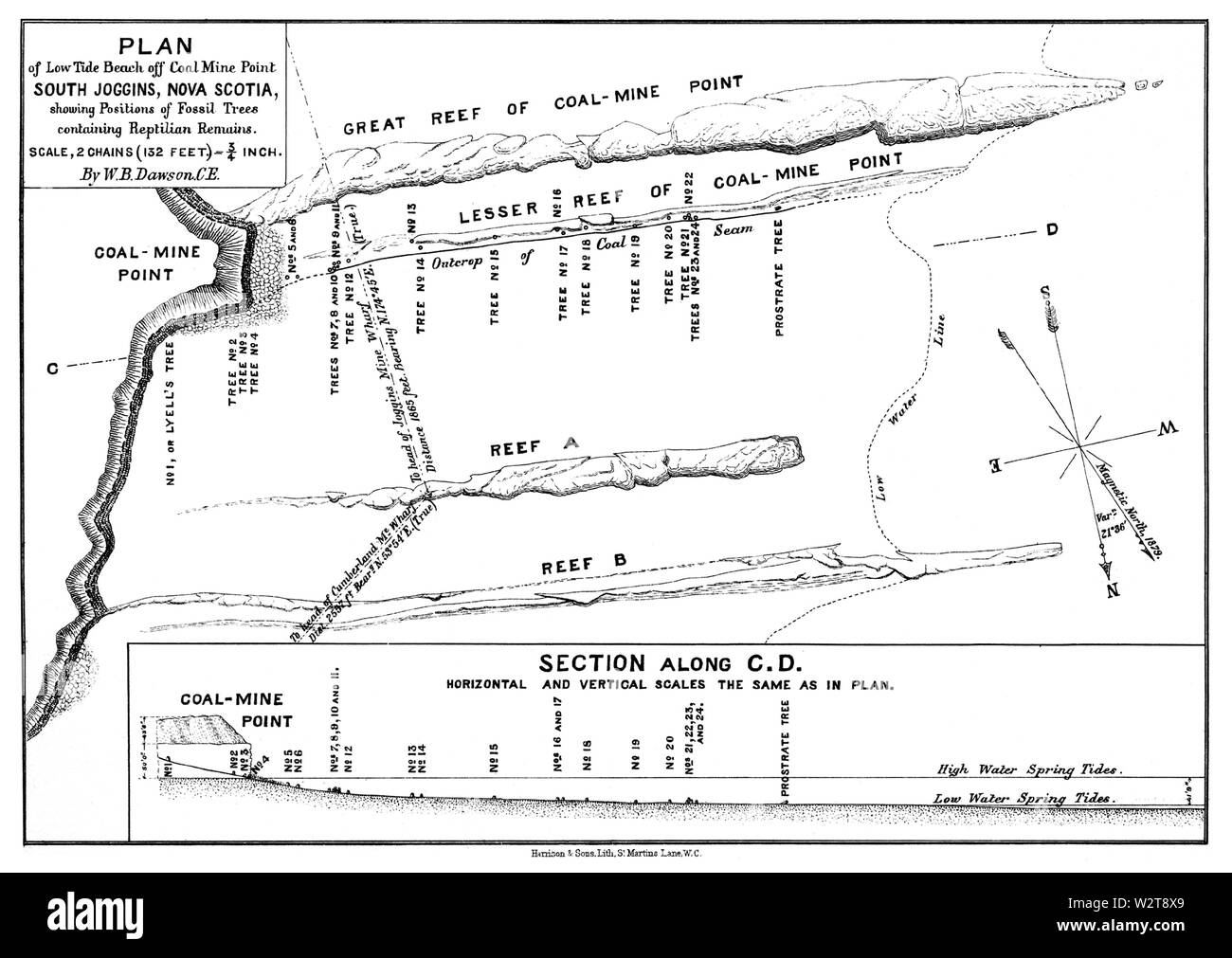 Dawson 1882 point de mine de charbon coralliens site Banque D'Images