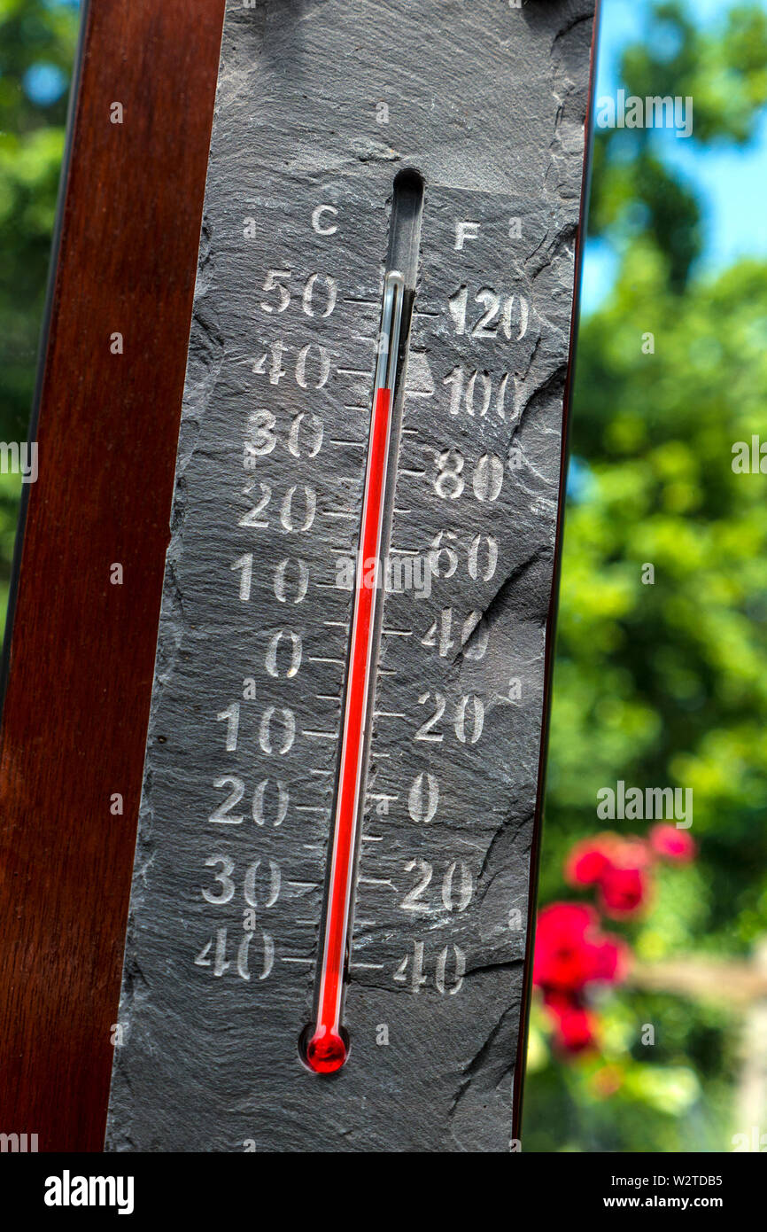 Thermomètre à 100F degrés température élevée de mercure élevée 38F degrés  Celsius 100F degrés Fahrenheit avec une ancienne ardoise effet vintage  historique, suspendu dans la salle de jardin, avec un chêne dans