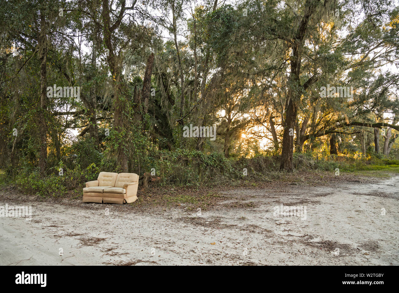 Table abandonnée le long de routes de campagne, en fin d'après-midi du soleil. Banque D'Images