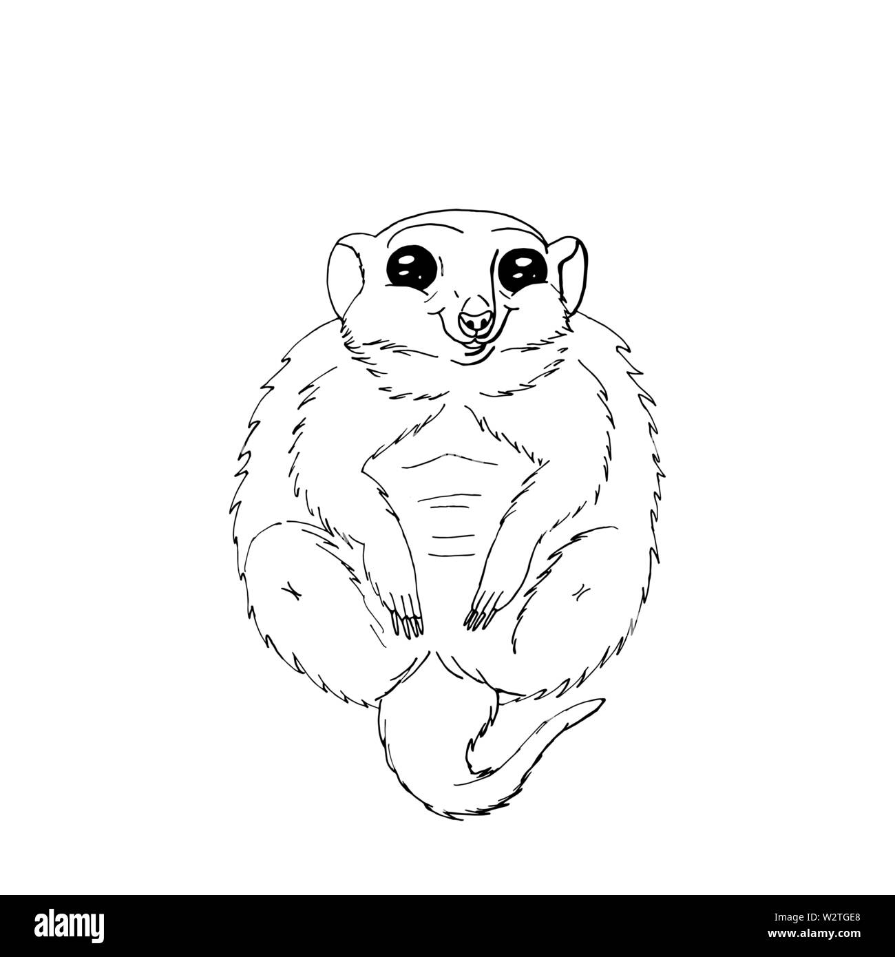Cute funny animal maitresse assis.isolé sur fond blanc.stock vector illustration. Illustration de Vecteur
