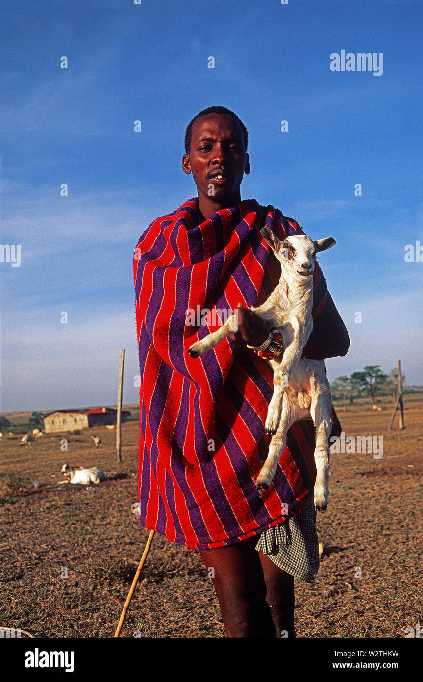 Les Masais avec un chevreau près de Talek, Masai Mara, Kenya Banque D'Images