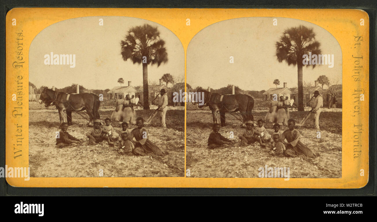 L'agriculture, de l'île de Fort George, Robert N Dennis collection de vues stéréoscopiques Banque D'Images