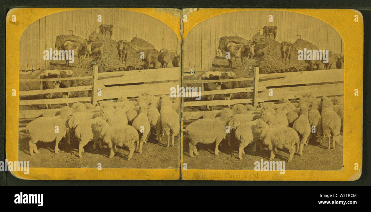 Cour de ferme, par Kilburn Brothers 6 Banque D'Images