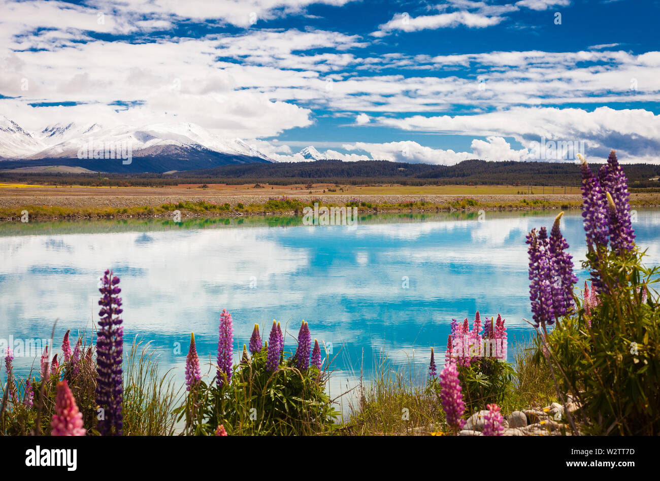Les canaux d'Hydro Twizel avec Mount Cook au loin. Banque D'Images
