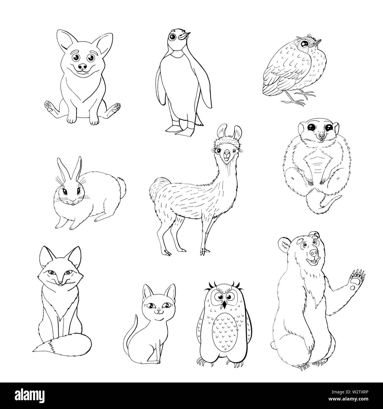 Ensemble d'animaux mignon isolé sur fond blanc. le renard roux, l'Owl, lapin, meerkat, cat, Corgi, oiseau, pingouin et ours. noir et blanc monochrome. stoc Illustration de Vecteur
