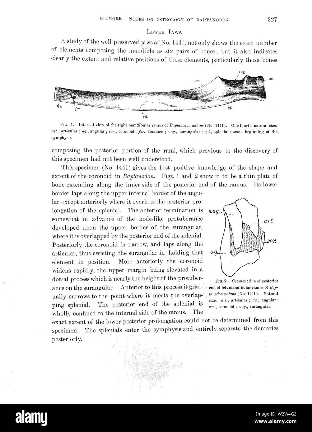 GilmoreBaptan-003 Banque D'Images