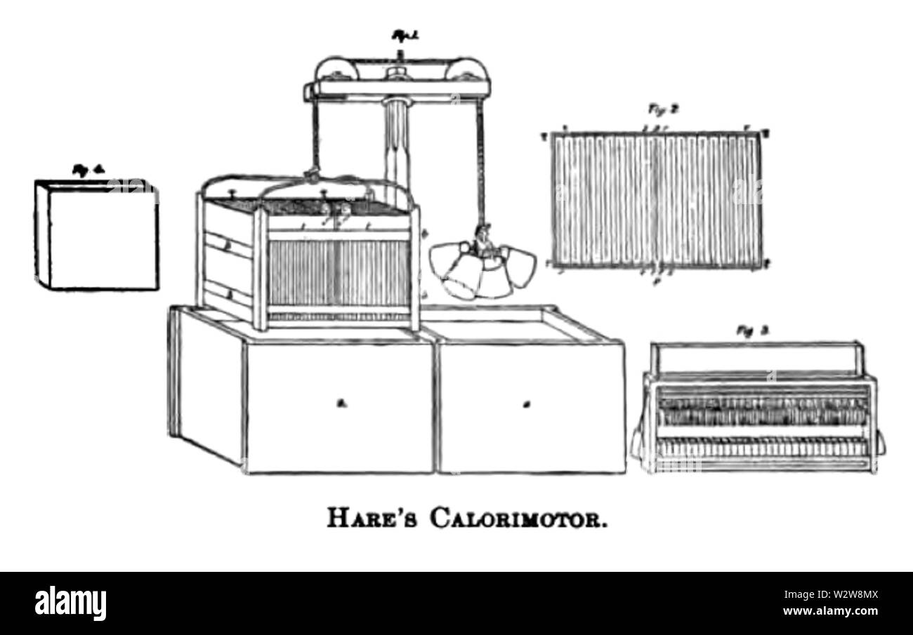Calorimotor du lièvre Banque D'Images