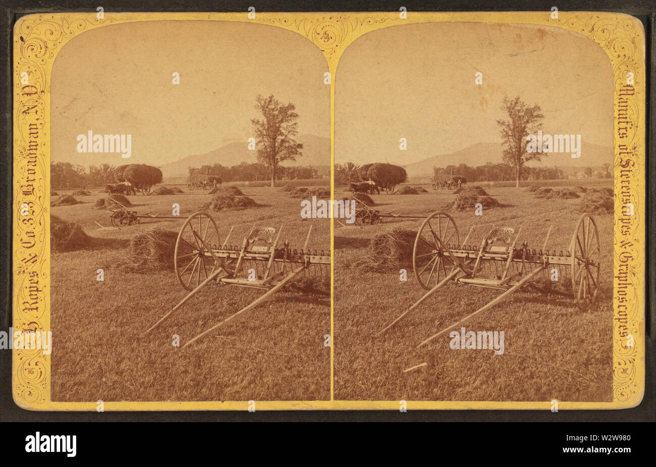 La Fenaison et Meadows, North Conway, NH, par H Ropes & Co Banque D'Images