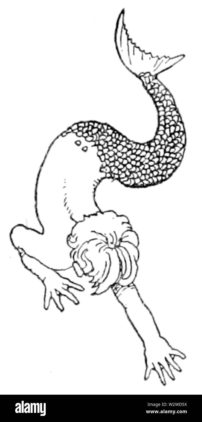 Illustration 4 en question avant de l'eau Bébé Banque D'Images