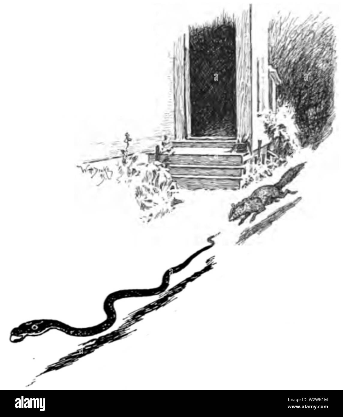 Jungle Book illustration p230 Banque D'Images