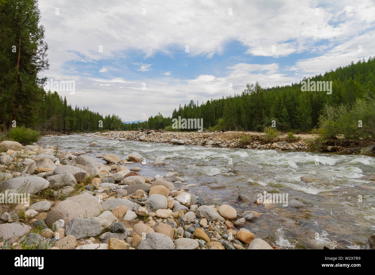 Stony river bank. Courant Rapide. La montagne de l'Altaï. Banque D'Images