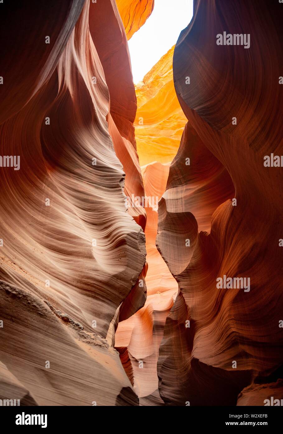 Formation de grès colorés, la lumière incidente, Lower Antelope Canyon, Slot Canyon, Page, Arizona, USA Banque D'Images