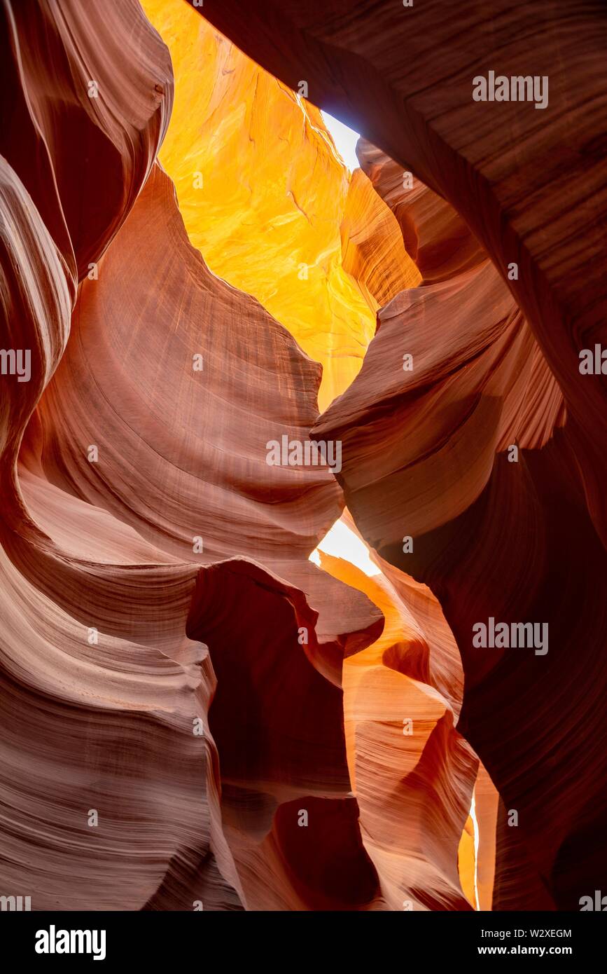 Formation de grès colorés, la lumière incidente, Lower Antelope Canyon, Slot Canyon, Page, Arizona, USA Banque D'Images