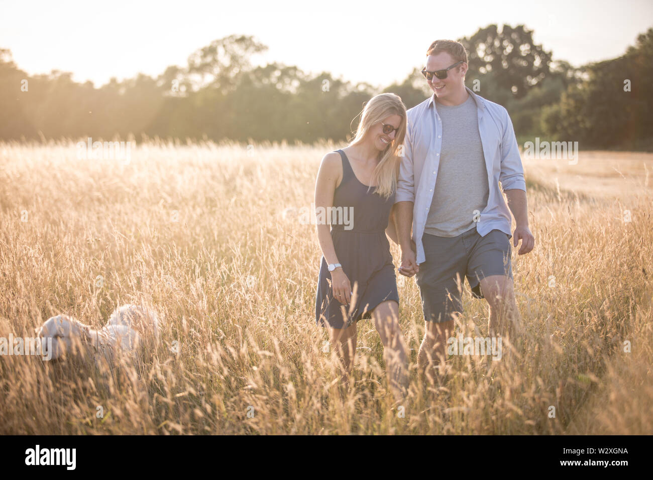 Young caucasian couple dans la campagne, se tenant la main et marche à travers champs avec chien au coucher du soleil Banque D'Images