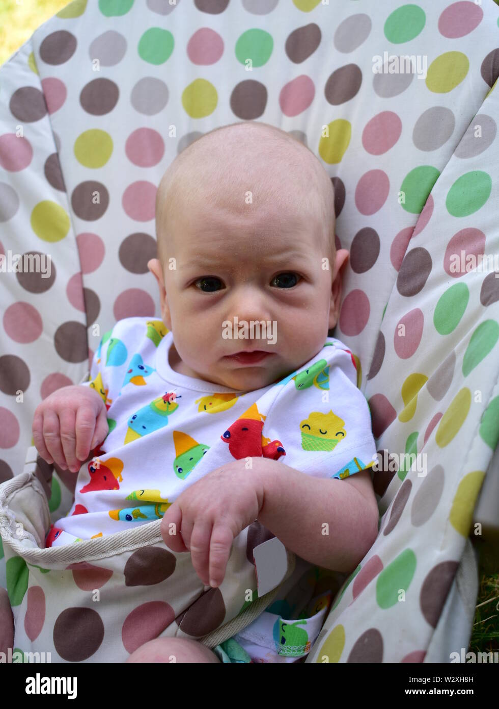 Bebe Nouveau Ne Garcon Blond Aux Yeux Bleus Sept Semaines Photo Stock Alamy Bebe Nouveau Ne Garcon Blond Aux Yeux Bleus Sept Semaines Photo Stock Alamy